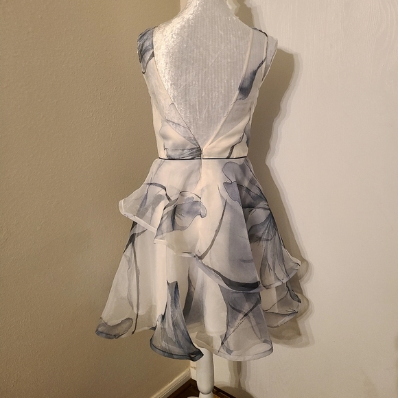Nha knahn layered ruffle sheer skater style dress - Picture 5 of 10